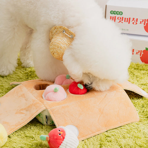Bite Me Toy | Mixed Fruits Box Nosework