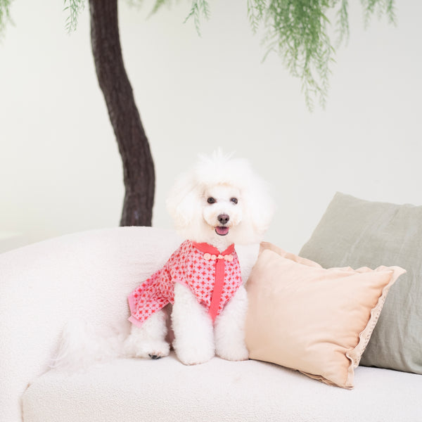 Ohpopdog Ruby Dress
