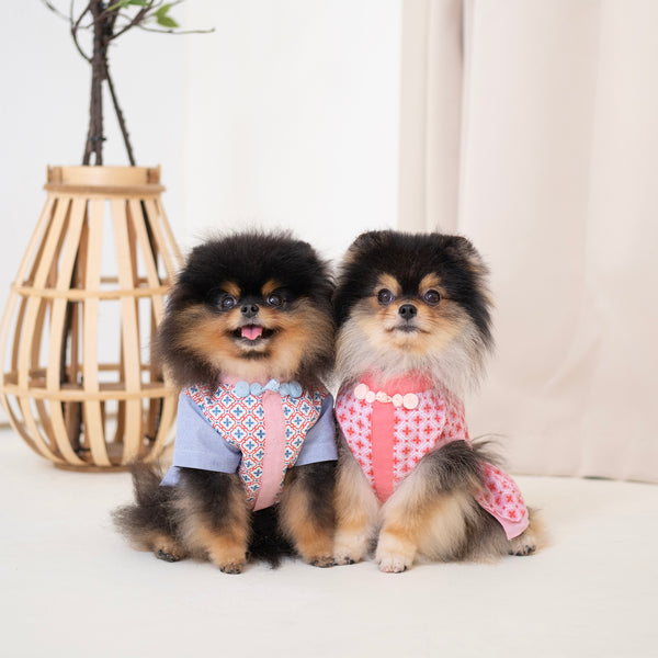 Ohpopdog Aquamarine Shirt