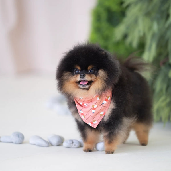 Ohpopdog Snowman Wonders Bandana