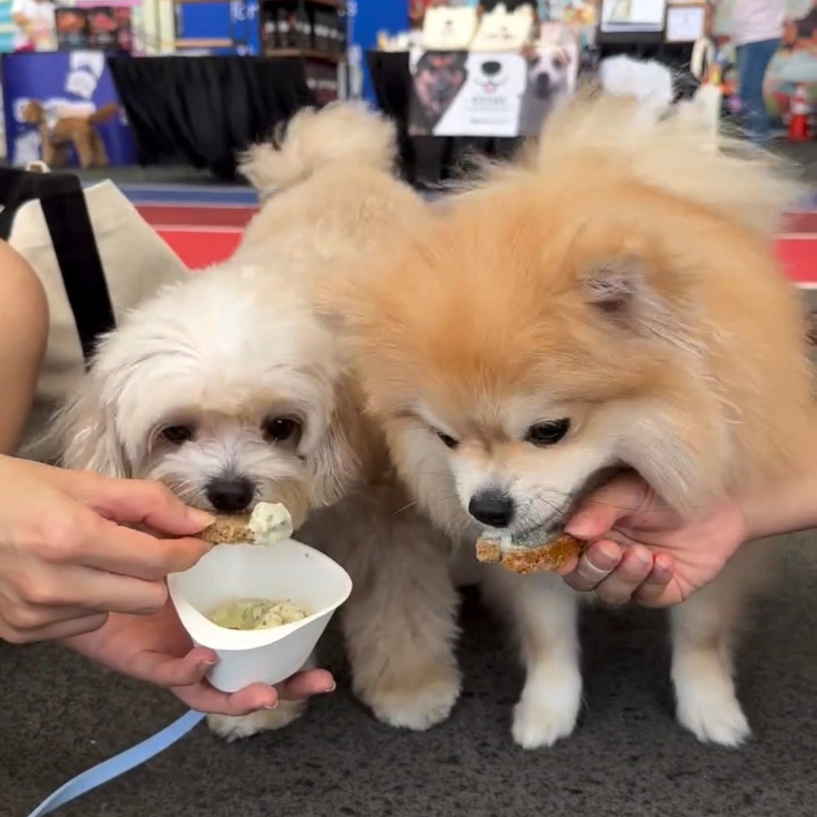 Gentle Pet Store