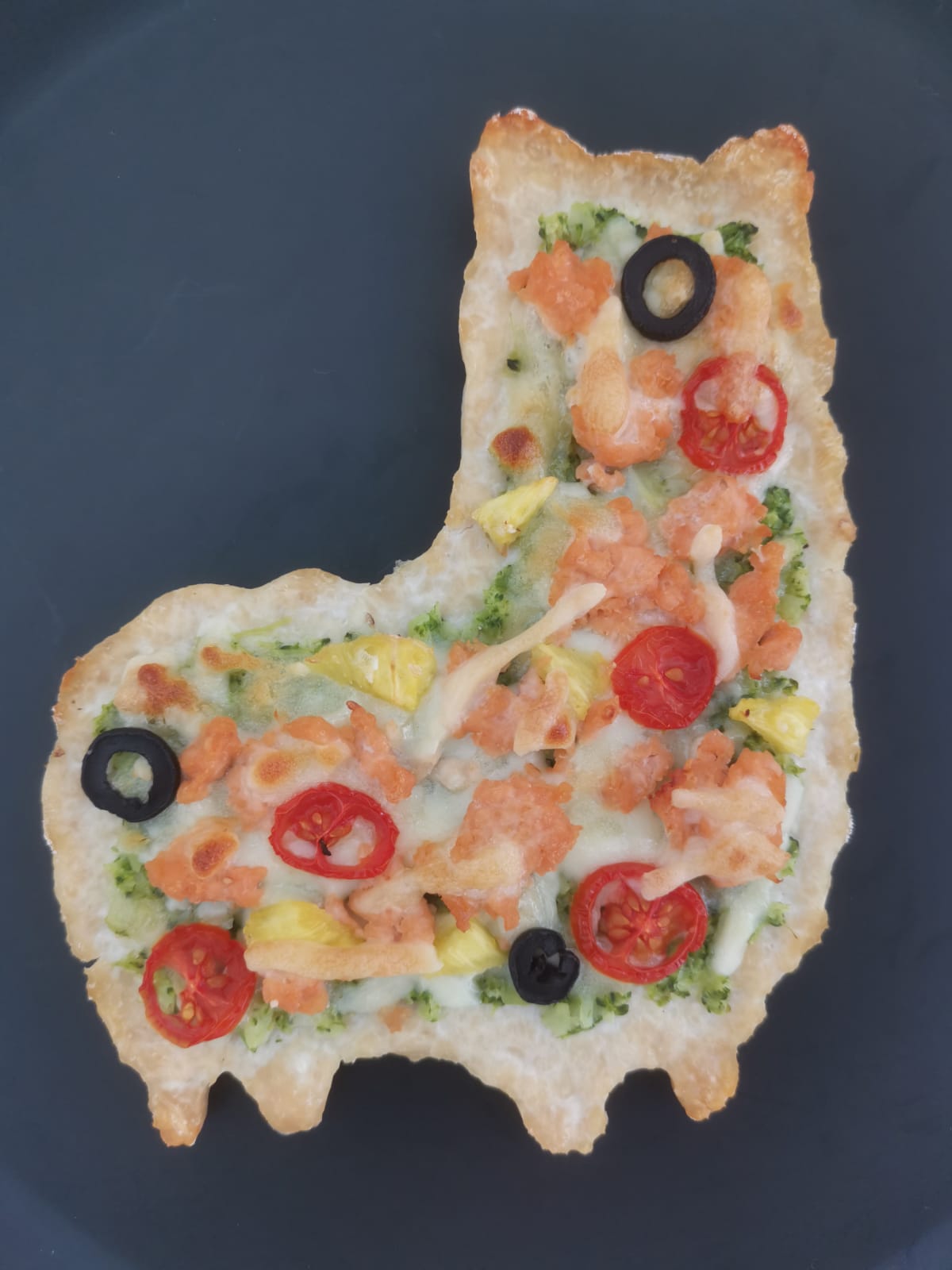Wholesome Paws Llamaste Meatzza