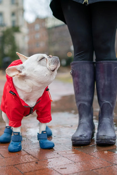 Wagwear WagWellies® Dog Boots
