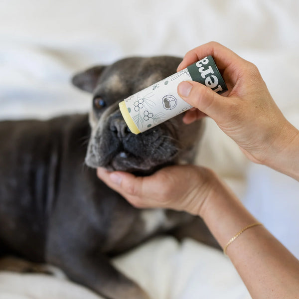 Fera Pet Organics PawBiome® Pet Balm