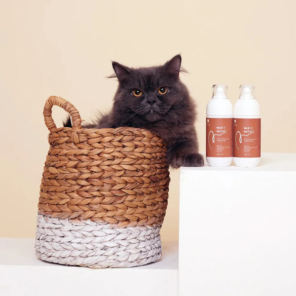 A Pet Story | Magic Water