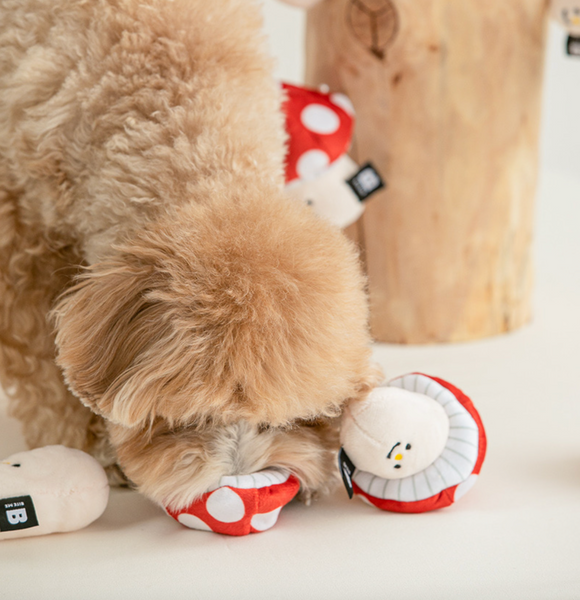 Bite Me Mushroom Dog Toy