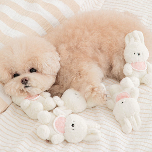 Bite Me My Bestie Bunny Toy
