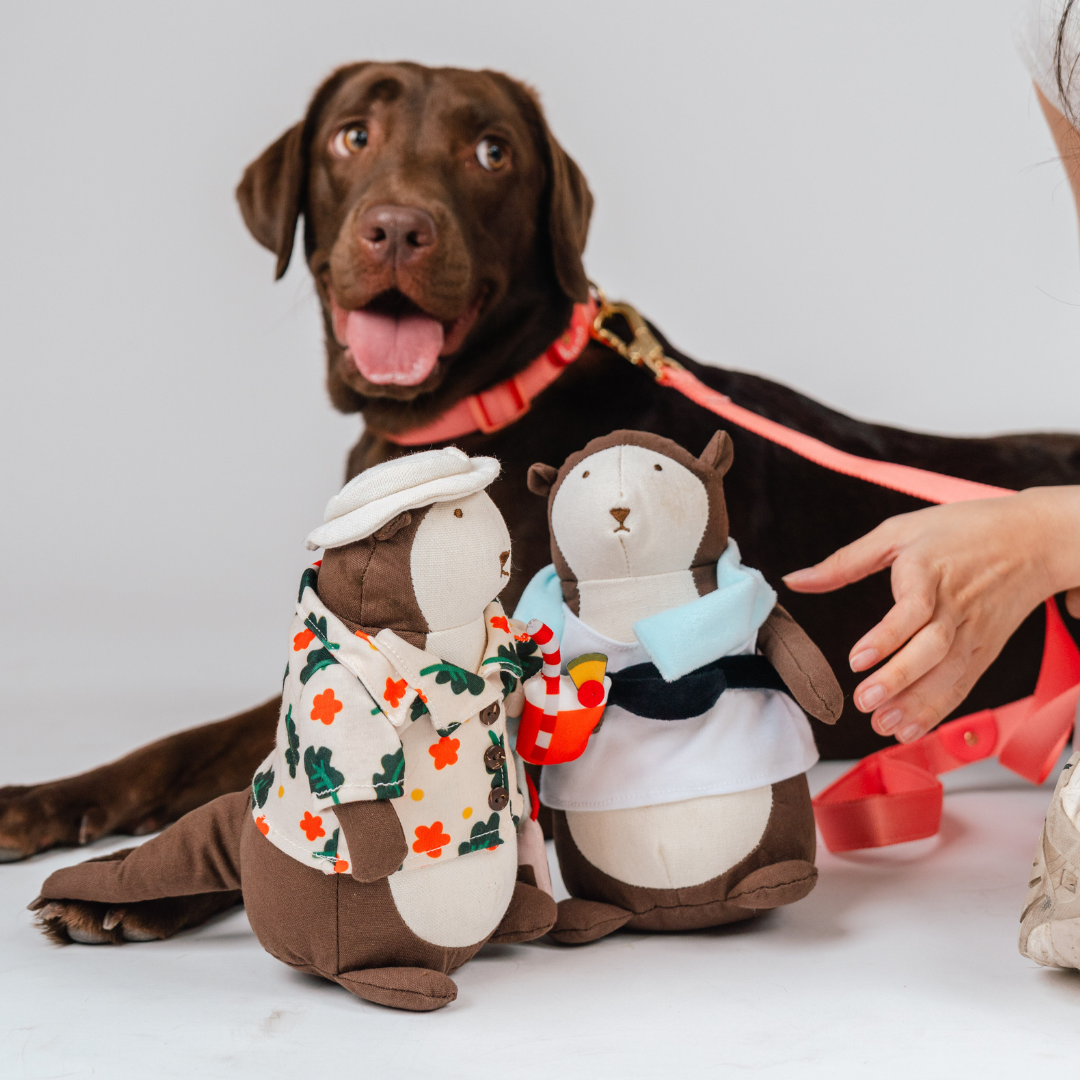 Gentle Pup Bishan the Otter Squeaker Toy | Kopi Uncle