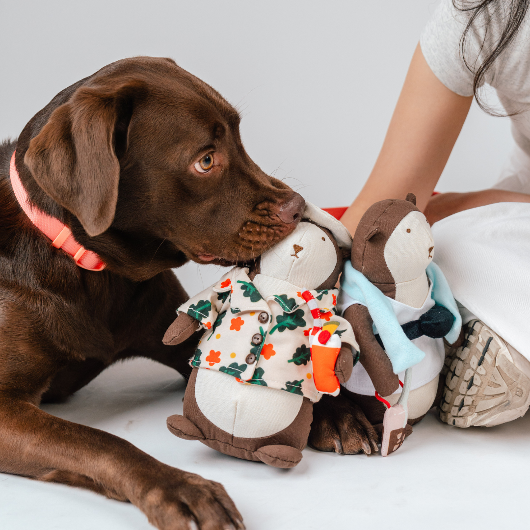 Gentle Pup Bishan the Otter Squeaker Toy | Singapore Sling