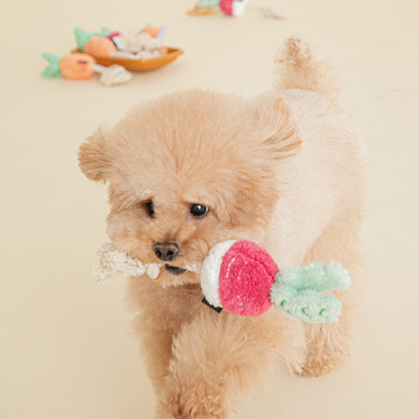 Bite Me Root Vegetable Dog Toy