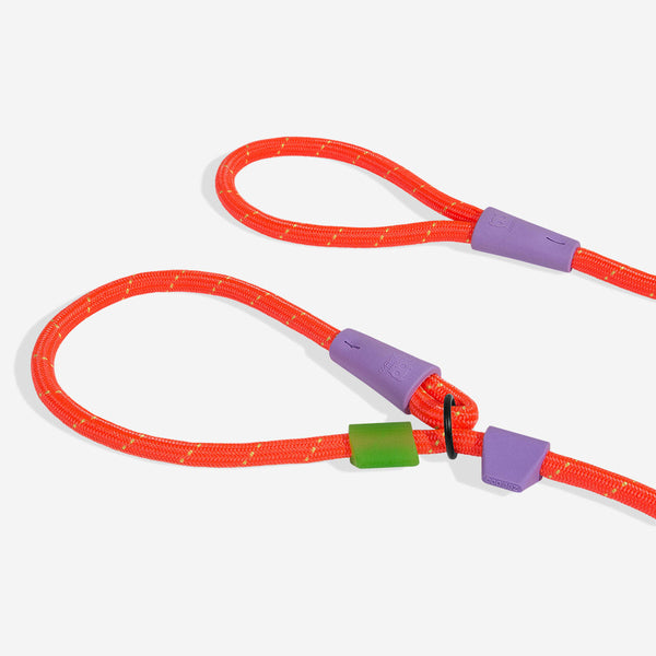 Zee Dog Slip-N-Lock Slip Leash | Everest