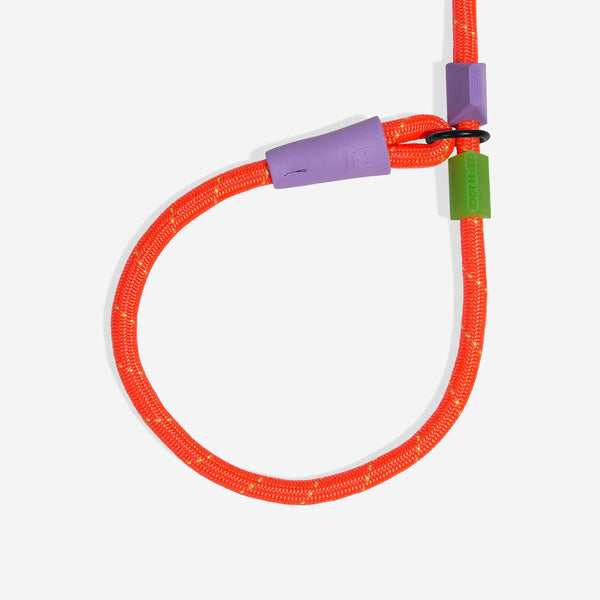 Zee Dog Slip-N-Lock Slip Leash | Everest
