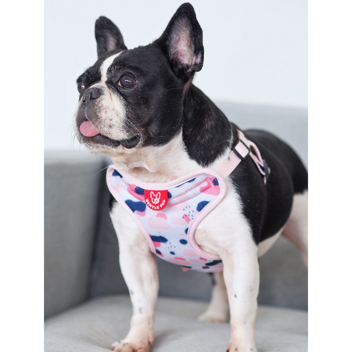 Gentle Pup Easy Harness - Lovely Leia