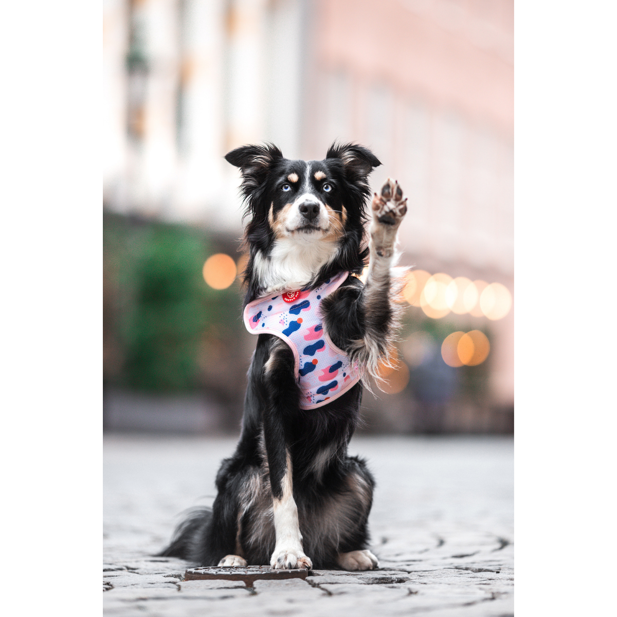 Gentle Pup Easy Harness - Lovely Leia