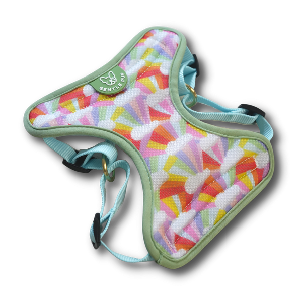 Gentle Pup Easy Harness - After the Rain