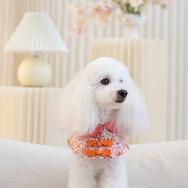 Ohpopdog Blush Floral Liberty Cape