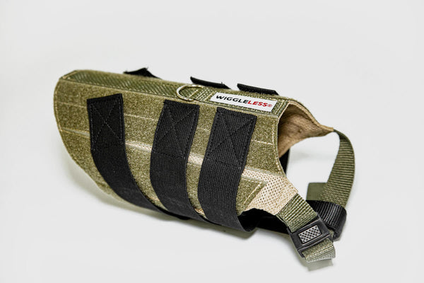 WiggleLess Back Brace