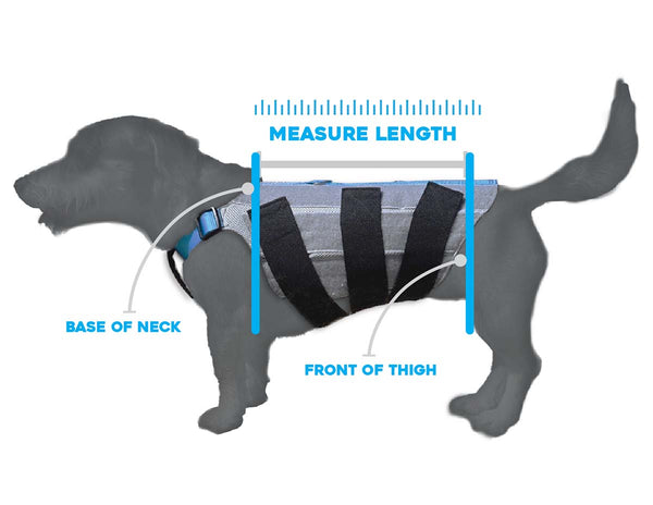 WiggleLess Back Brace