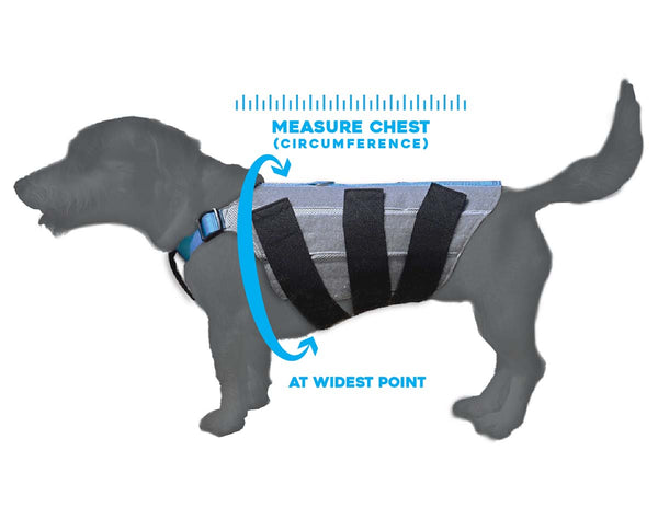 WiggleLess Back Brace