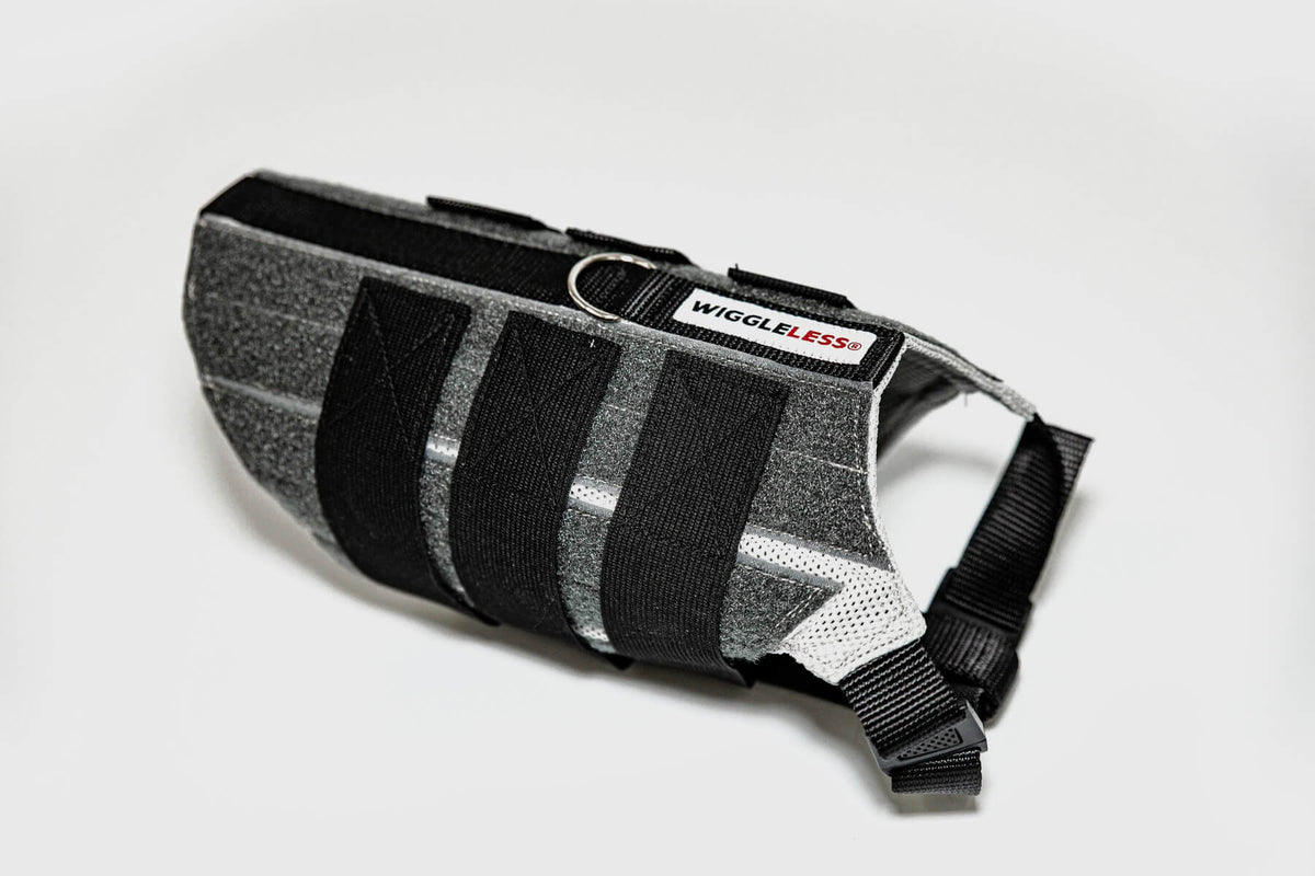 WiggleLess Back Brace