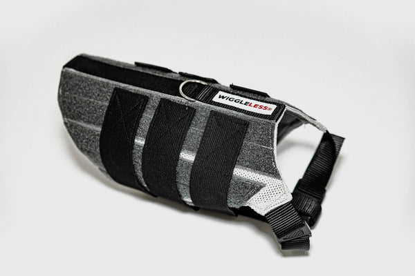 WiggleLess Back Brace
