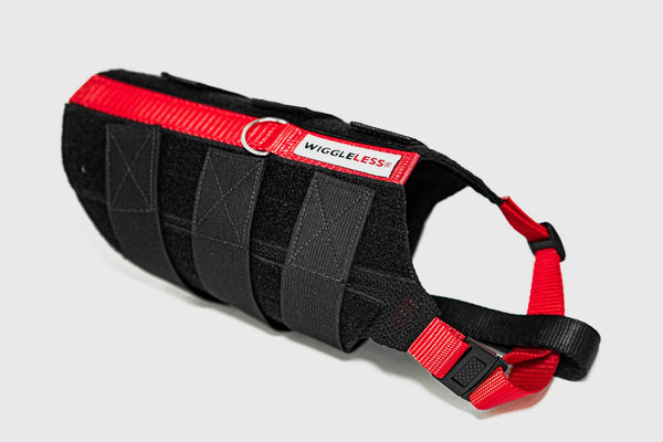 WiggleLess Back Brace