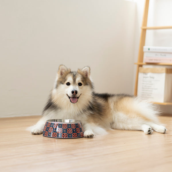 Ohpopdog Bowl - Baba Navy 150