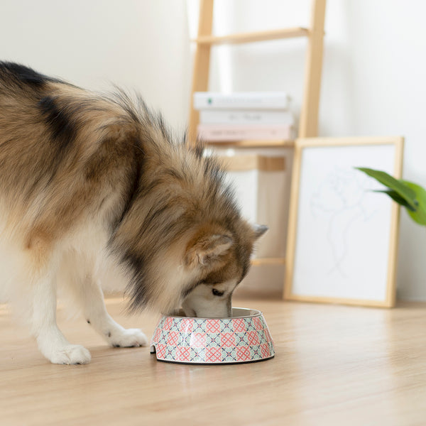 Ohpopdog Bowl - Bibik Pink 14