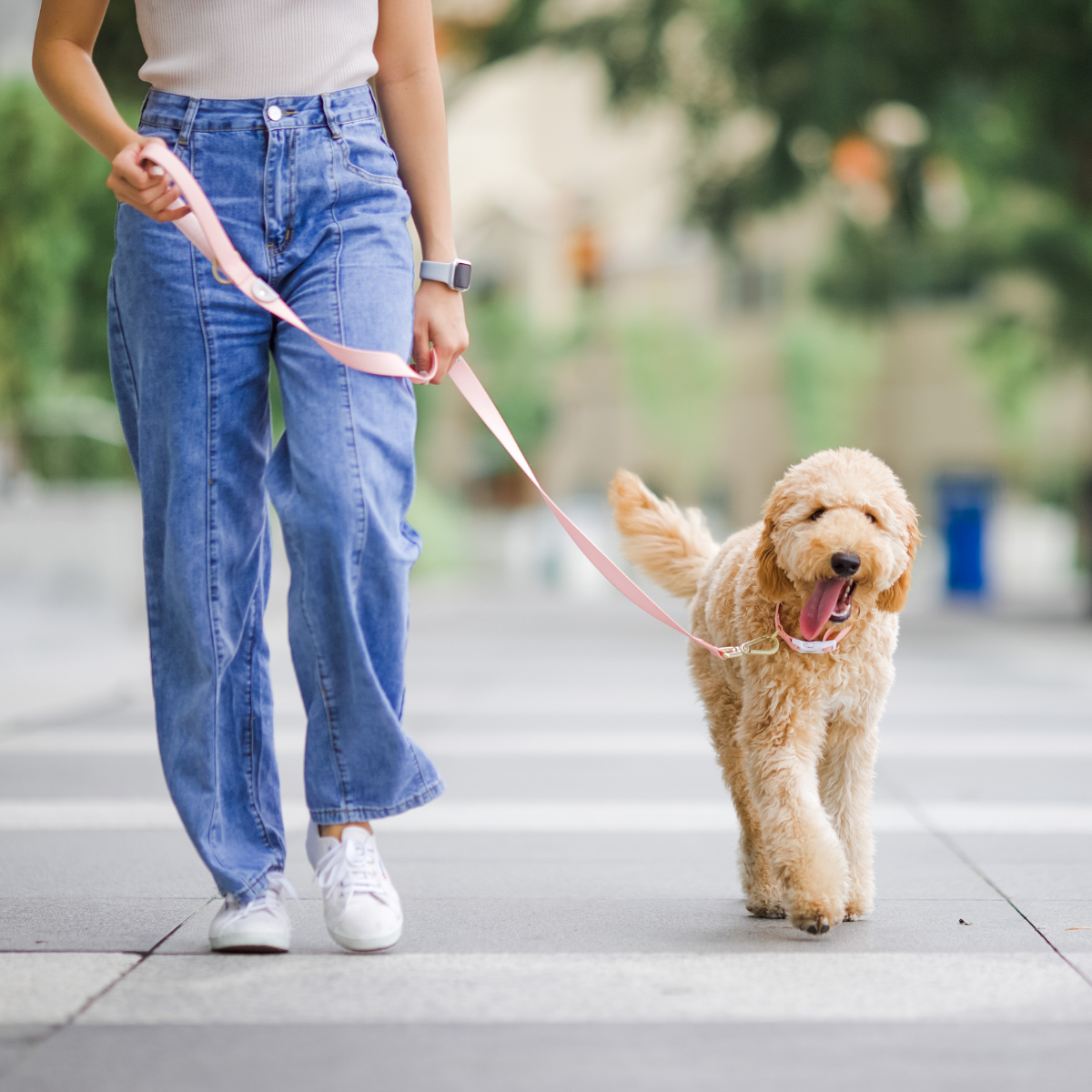 Gentle Pup Leash - Camelia