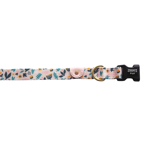 Gentle Pup Dog Collar - Scandi Spring