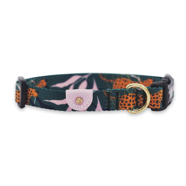 Gentle Pup Dog Collar - Coco Congo