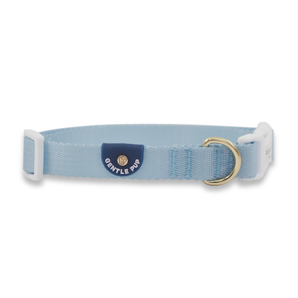 Gentle Pup Dog Collar - Cornflower