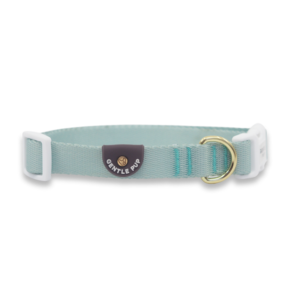Gentle Pup Dog Collar - Pistachio