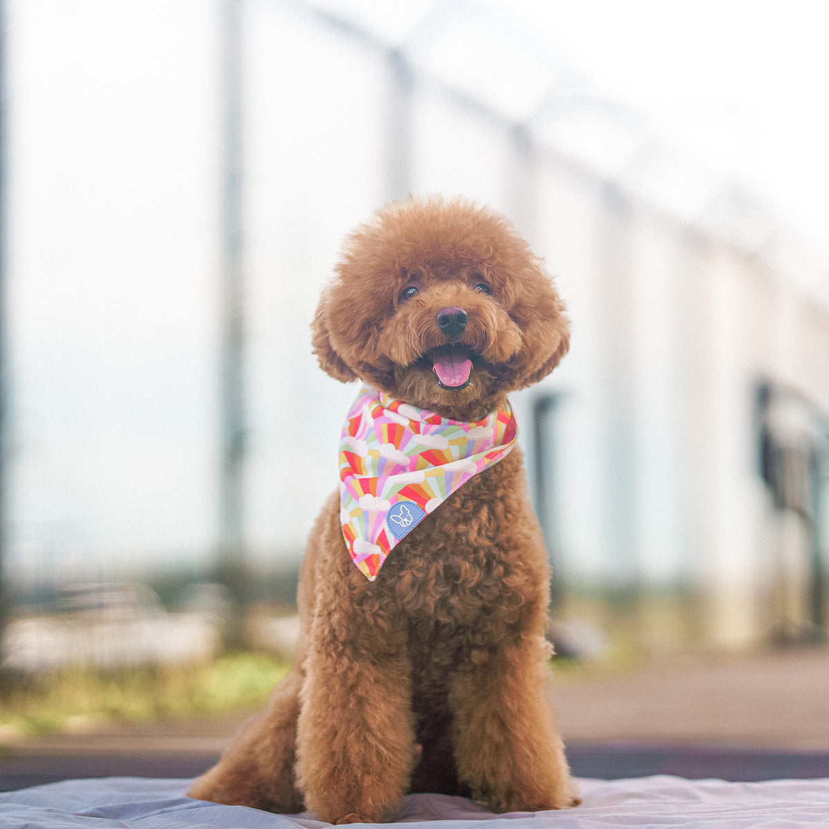 Gentle Pup Bandana - After the Rain