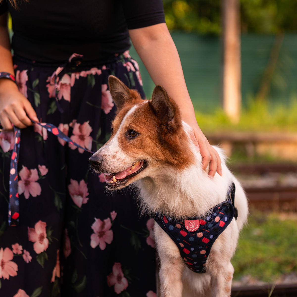 Gentle Pup Easy Harness - Playful Polly