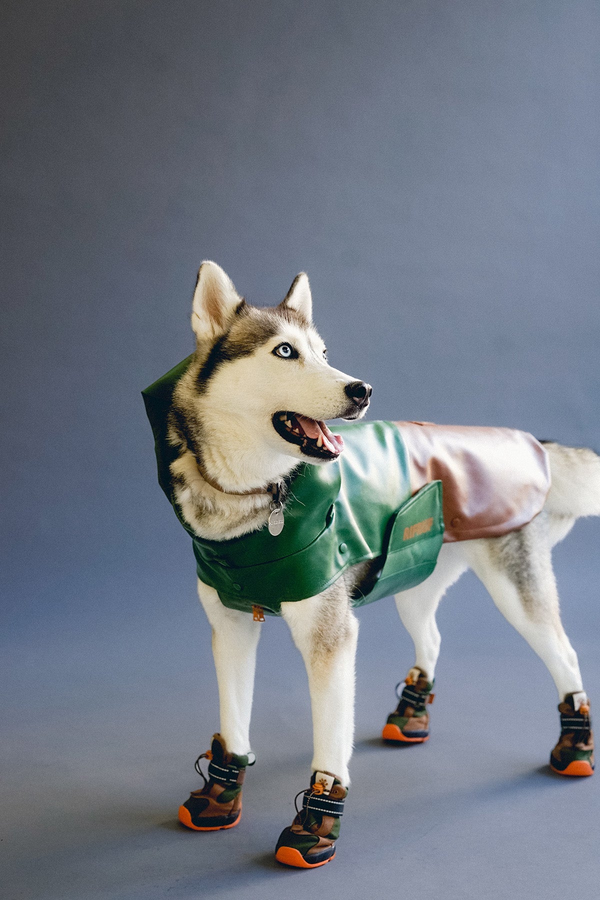 RIFRUF Dog Shoes Waterproof | Apollo 1 (Pre-order)