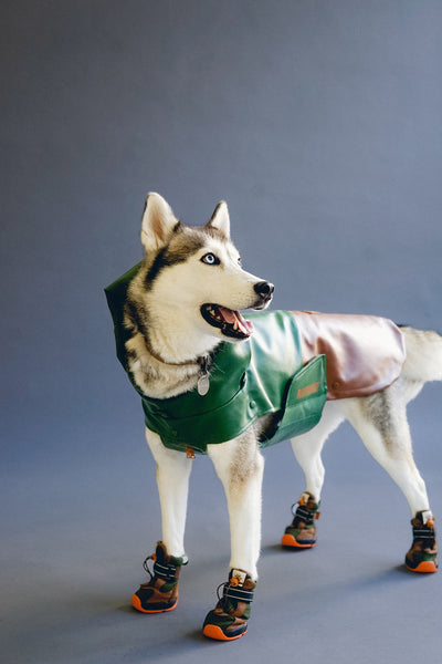 RIFRUF Stormhunter Raincoat - Beef & Broccoli
