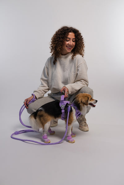 RIFRUF Commuter Harness - Taro