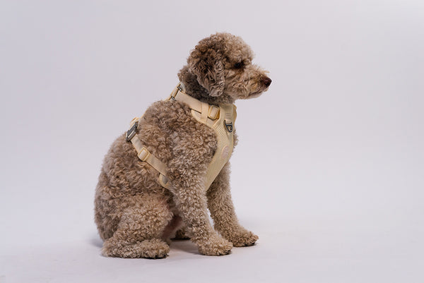 RIFRUF Commuter Harness - Bone