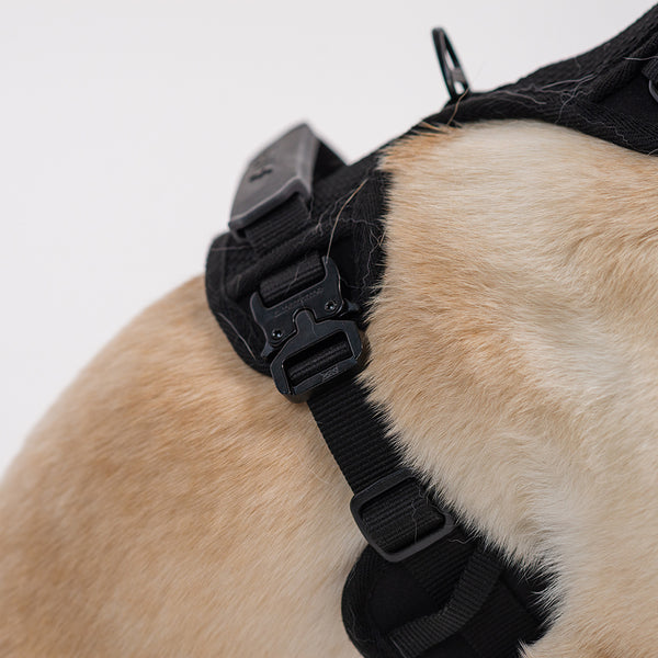 RIFRUF Commuter Harness - Black