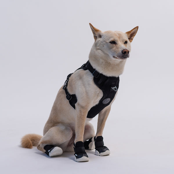 RIFRUF Commuter Harness - Black