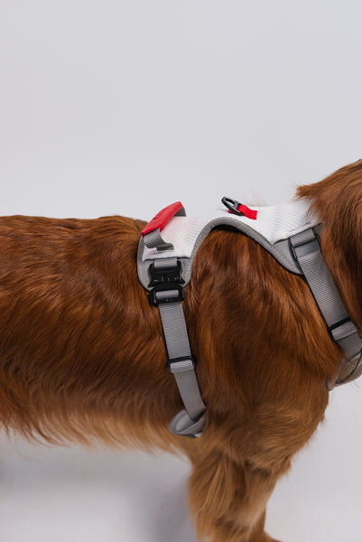 RIFRUF Commuter Harness - Borough
