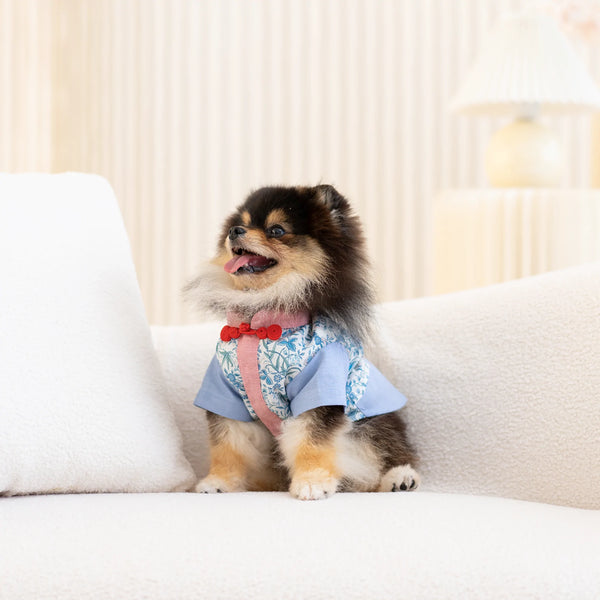 Ohpopdog Garden Liberty Shirt