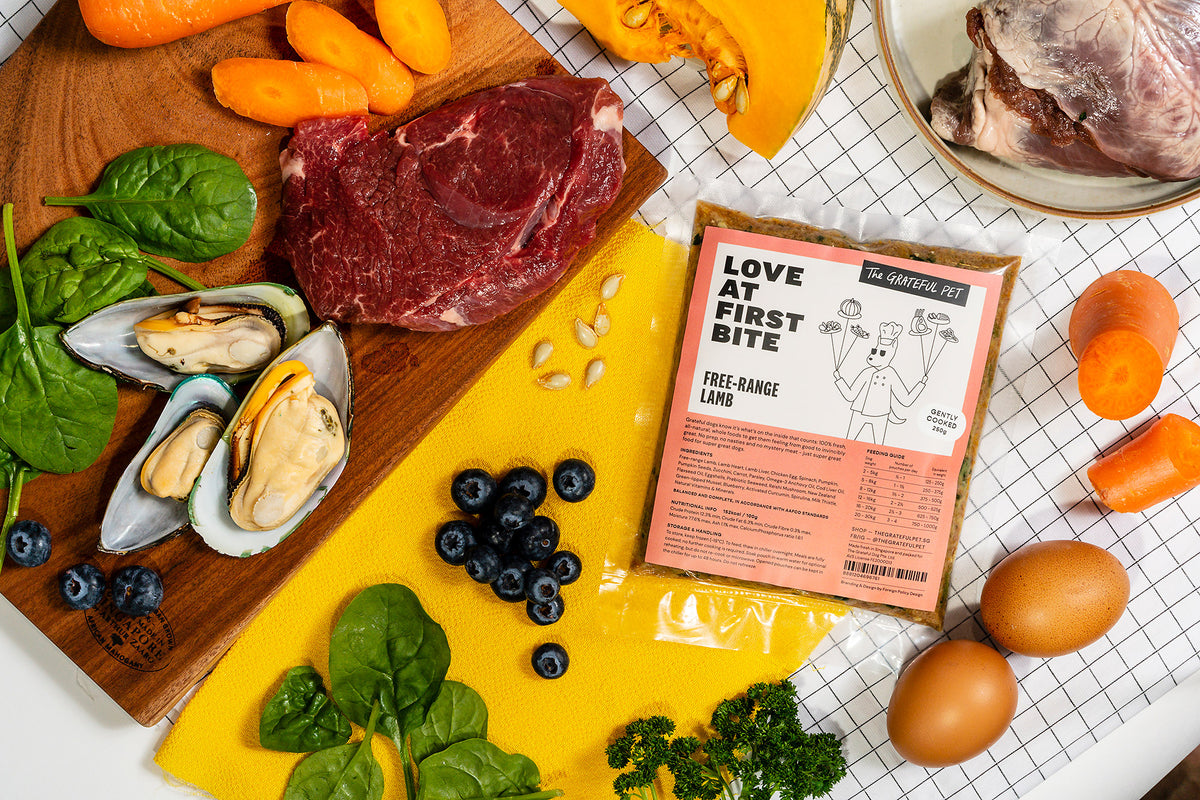 The Grateful Pet Gently Cooked Free-range Lamb