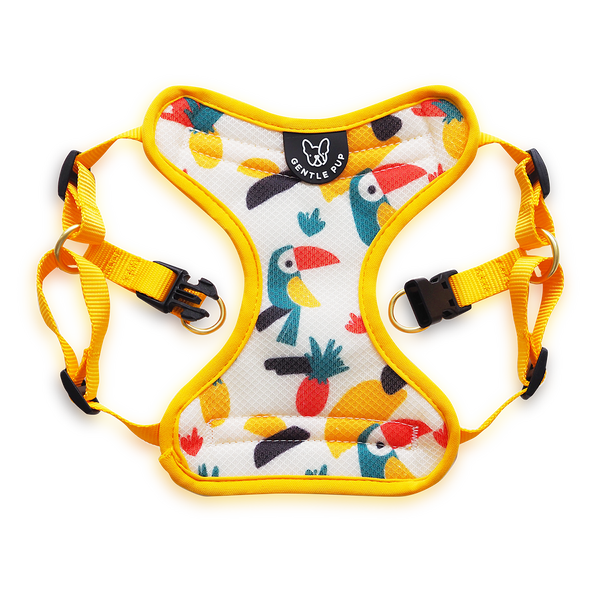 Gentle Pup Easy Harness - Aloha Alice