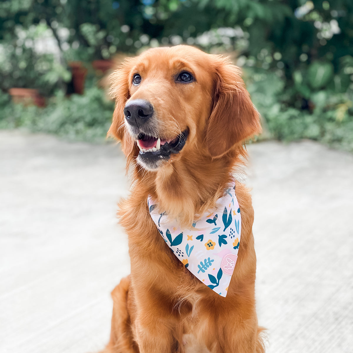 Gentle Pup MökkiChief - Scandi Spring