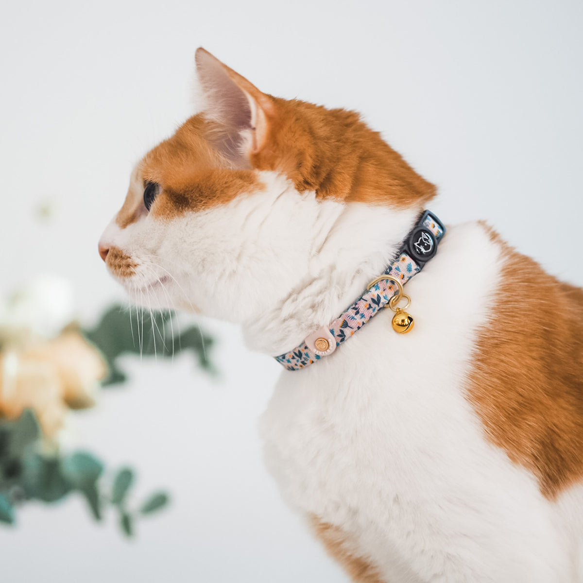 Gentle Purr Cat Collar - Scandi Spring