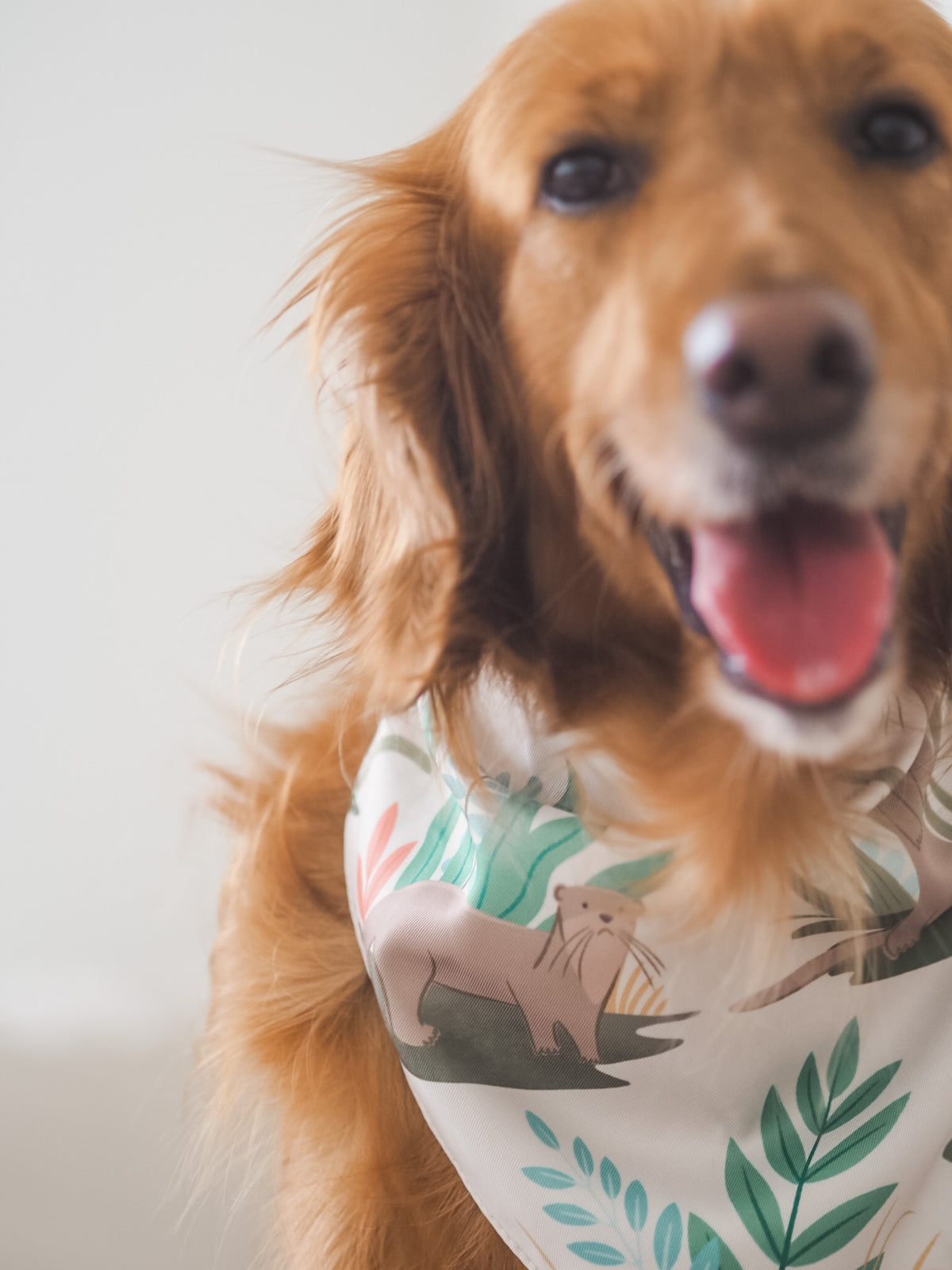 Gentle Pup Bandana - Otterly in Love