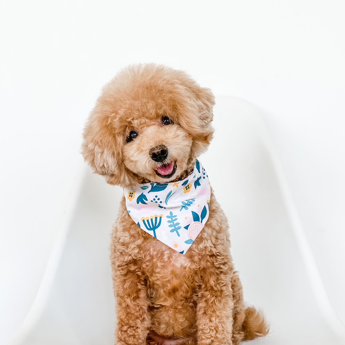 Gentle Pup MökkiChief - Scandi Spring