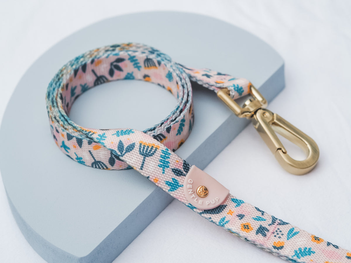 Gentle Pup Leash - Scandi Spring